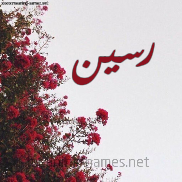 شكل 18 صوره الورد الأحمر للإسم بخط رقعة صورة اسم رسين rasin