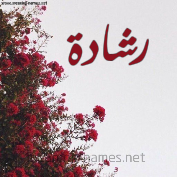 شكل 18 صوره الورد الأحمر للإسم بخط رقعة صورة اسم رشادة Rshad"h