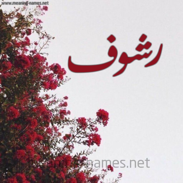 شكل 18 صوره الورد الأحمر للإسم بخط رقعة صورة اسم رشوف Rshwf
