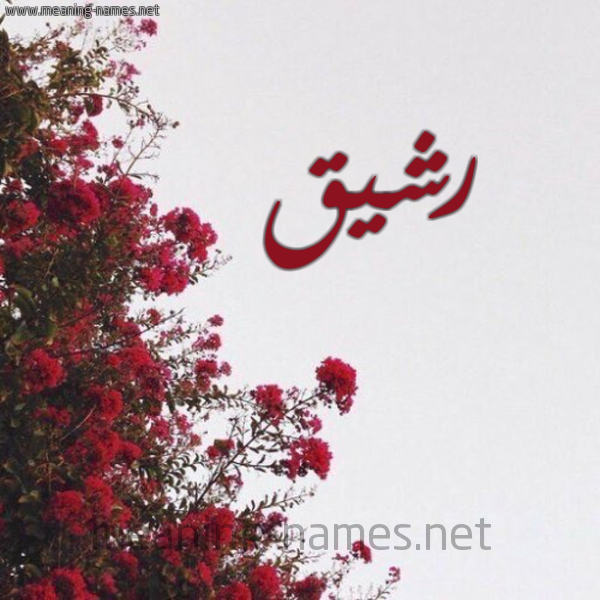شكل 18 صوره الورد الأحمر للإسم بخط رقعة صورة اسم رشيق Rshyq