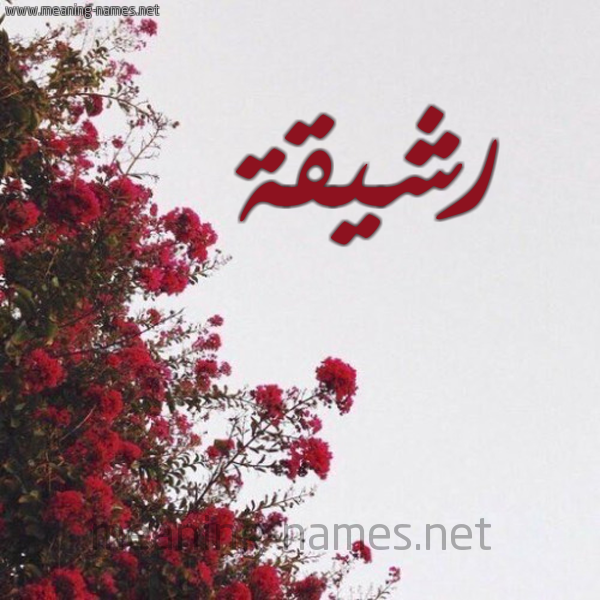 شكل 18 صوره الورد الأحمر للإسم بخط رقعة صورة اسم رشيقة RSHIQH