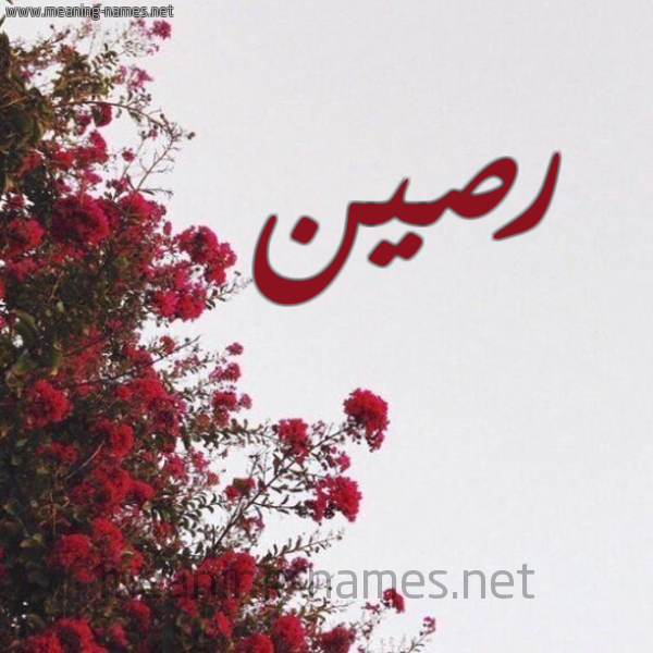 شكل 18 صوره الورد الأحمر للإسم بخط رقعة صورة اسم رصين Rsyn