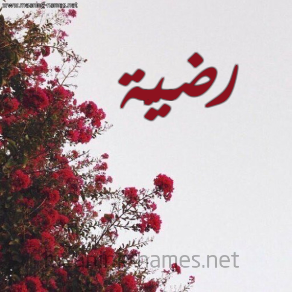 شكل 18 صوره الورد الأحمر للإسم بخط رقعة صورة اسم رضيَّة RDIAH