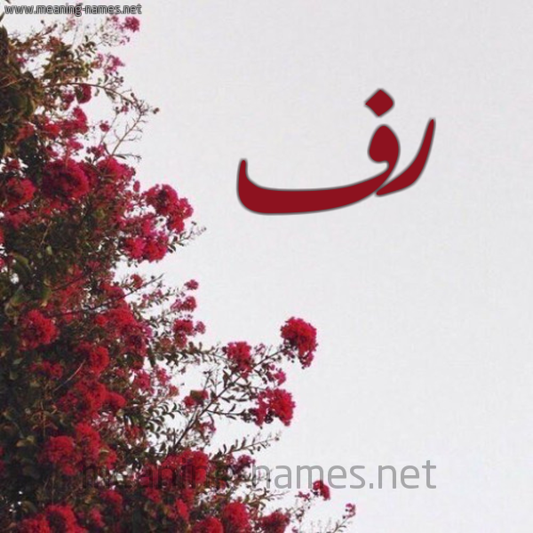 شكل 18 صوره الورد الأحمر للإسم بخط رقعة صورة اسم رف RF