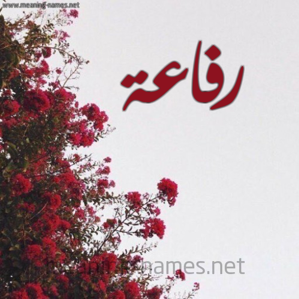 شكل 18 صوره الورد الأحمر للإسم بخط رقعة صورة اسم رفاعة Refaha