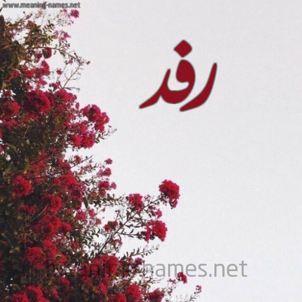 شكل 18 صوره الورد الأحمر للإسم بخط رقعة صورة اسم رفد Rfd