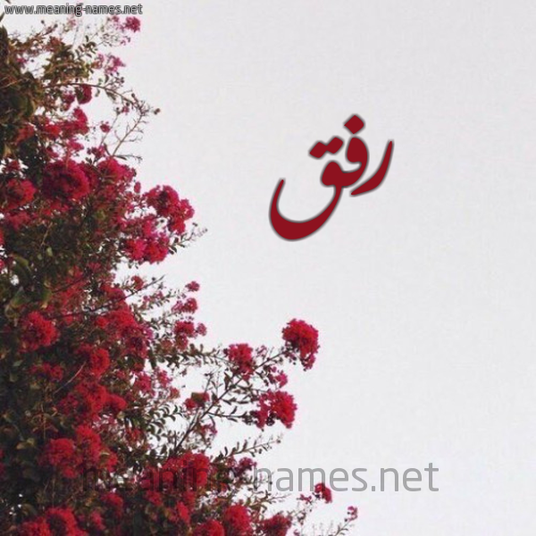 شكل 18 صوره الورد الأحمر للإسم بخط رقعة صورة اسم رفق Rfq