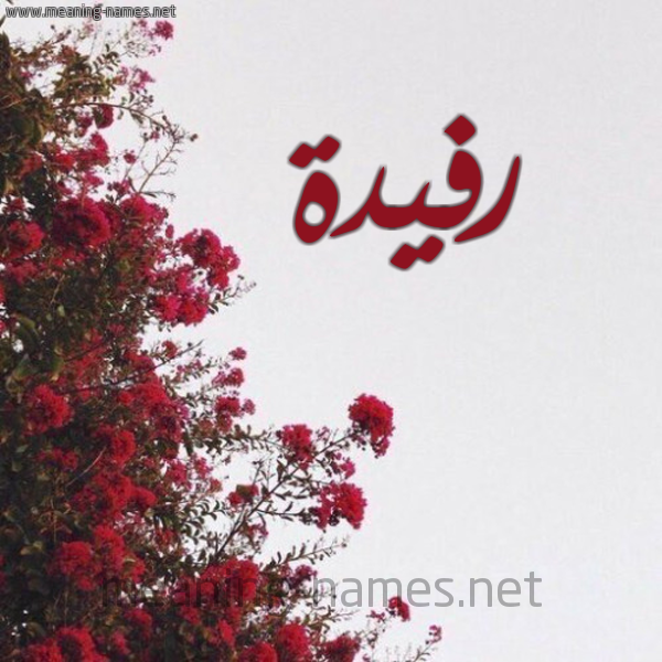 شكل 18 صوره الورد الأحمر للإسم بخط رقعة صورة اسم رفيدة Rfyd"h