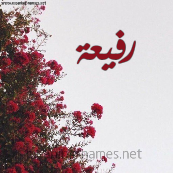 شكل 18 صوره الورد الأحمر للإسم بخط رقعة صورة اسم رفيعة Rfya