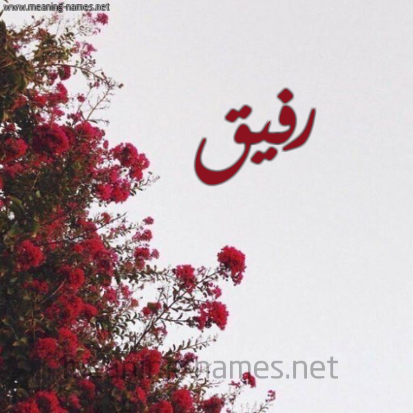 شكل 18 صوره الورد الأحمر للإسم بخط رقعة صورة اسم رفيق Rfyq