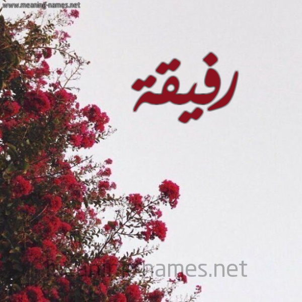 شكل 18 صوره الورد الأحمر للإسم بخط رقعة صورة اسم رفيقة Rfyqh