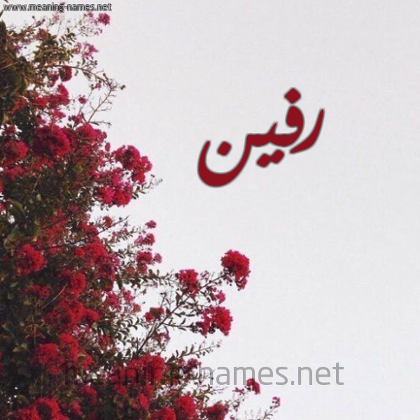 شكل 18 صوره الورد الأحمر للإسم بخط رقعة صورة اسم رفين rfeen