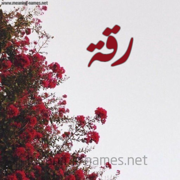 شكل 18 صوره الورد الأحمر للإسم بخط رقعة صورة اسم رقة Rqh
