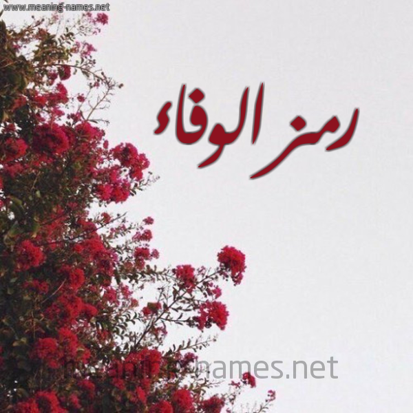 شكل 18 صوره الورد الأحمر للإسم بخط رقعة صورة اسم رمزالوفاء Rmzalwfa'a