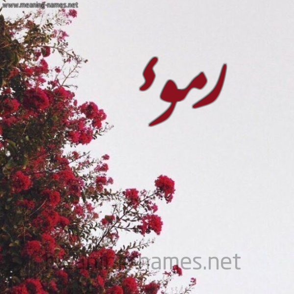 شكل 18 صوره الورد الأحمر للإسم بخط رقعة صورة اسم رموء Rmw'a