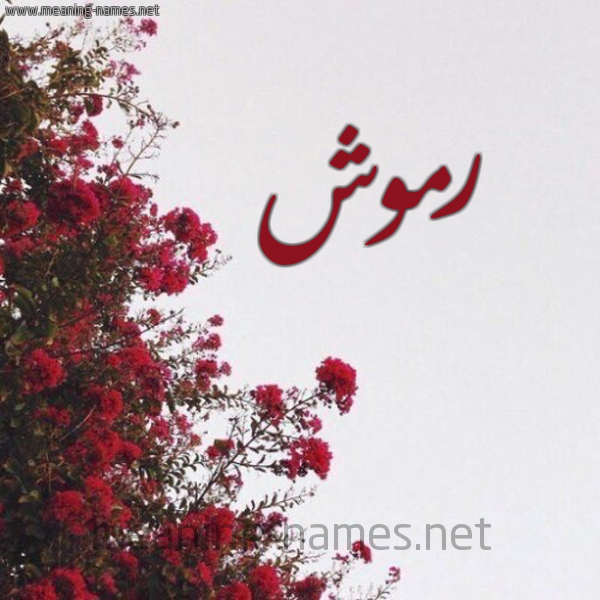 شكل 18 صوره الورد الأحمر للإسم بخط رقعة صورة اسم رموش Rmwsh