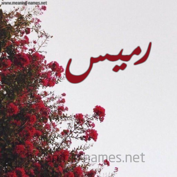 شكل 18 صوره الورد الأحمر للإسم بخط رقعة صورة اسم رميس Rmis