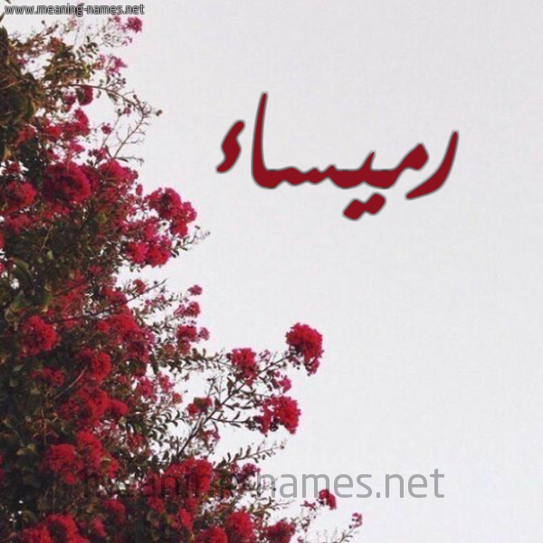 شكل 18 صوره الورد الأحمر للإسم بخط رقعة صورة اسم رميساء Rmysaa