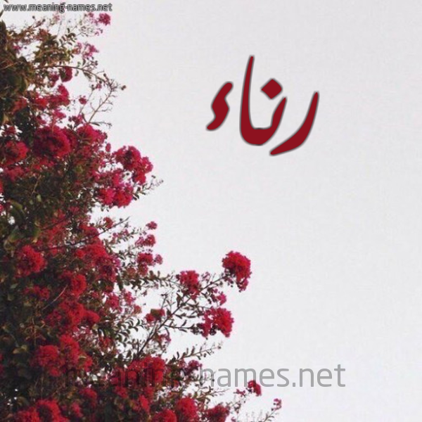 شكل 18 صوره الورد الأحمر للإسم بخط رقعة صورة اسم رناء Rna'a