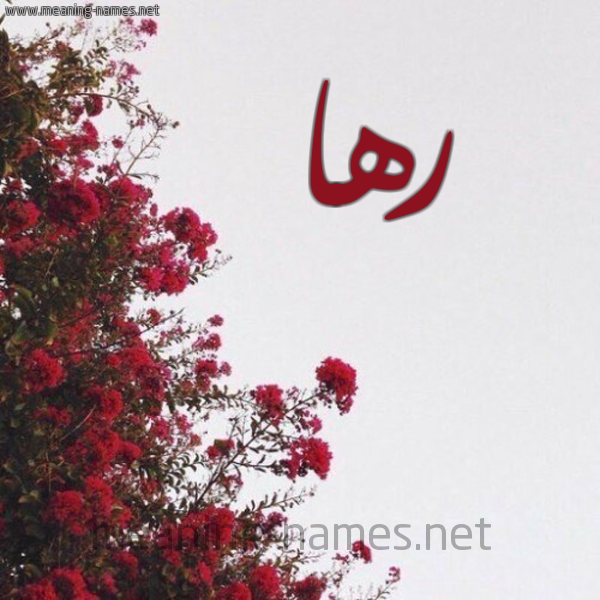 شكل 18 صوره الورد الأحمر للإسم بخط رقعة صورة اسم رها Rha