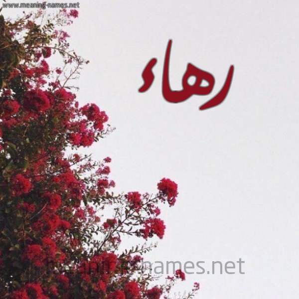 شكل 18 صوره الورد الأحمر للإسم بخط رقعة صورة اسم رهاء Rha'a