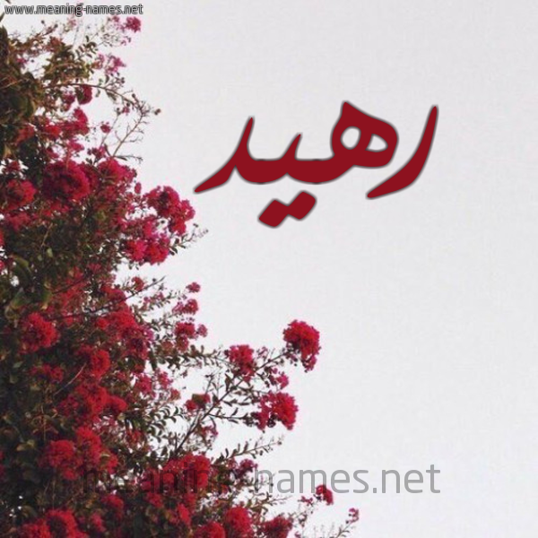 شكل 18 صوره الورد الأحمر للإسم بخط رقعة صورة اسم رهيد Rhyd