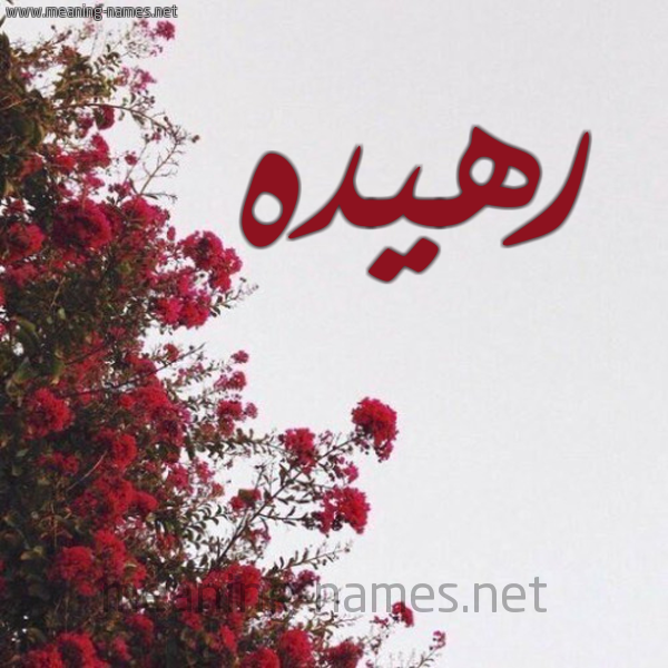 شكل 18 صوره الورد الأحمر للإسم بخط رقعة صورة اسم رهيده RHIDH