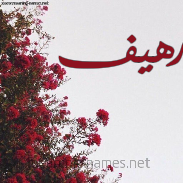 شكل 18 صوره الورد الأحمر للإسم بخط رقعة صورة اسم رهيف Rhyf