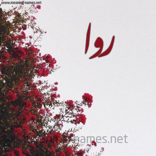 شكل 18 صوره الورد الأحمر للإسم بخط رقعة صورة اسم روا Rwa
