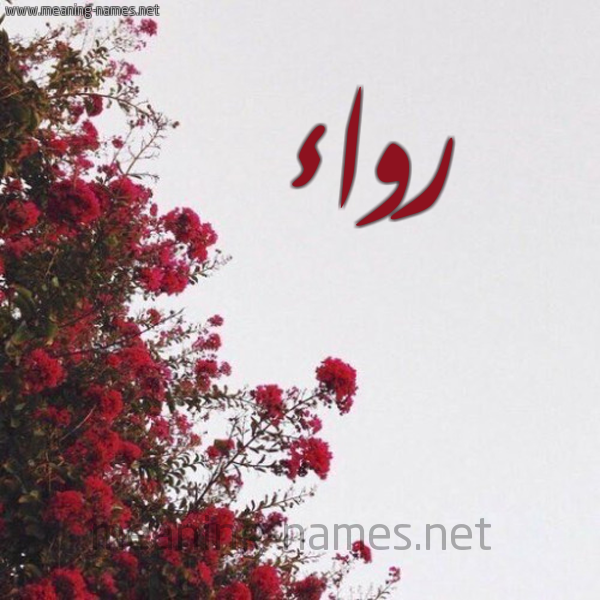 شكل 18 صوره الورد الأحمر للإسم بخط رقعة صورة اسم رواء Rwaa