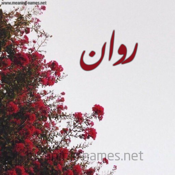 شكل 18 صوره الورد الأحمر للإسم بخط رقعة صورة اسم روان Rawan