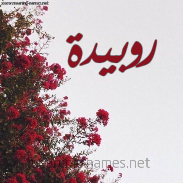 شكل 18 صوره الورد الأحمر للإسم بخط رقعة صورة اسم روبيدة Rubaidah