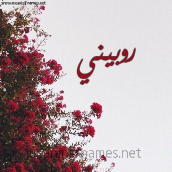 شكل 18 صوره الورد الأحمر للإسم بخط رقعة صورة اسم روبيني Robini