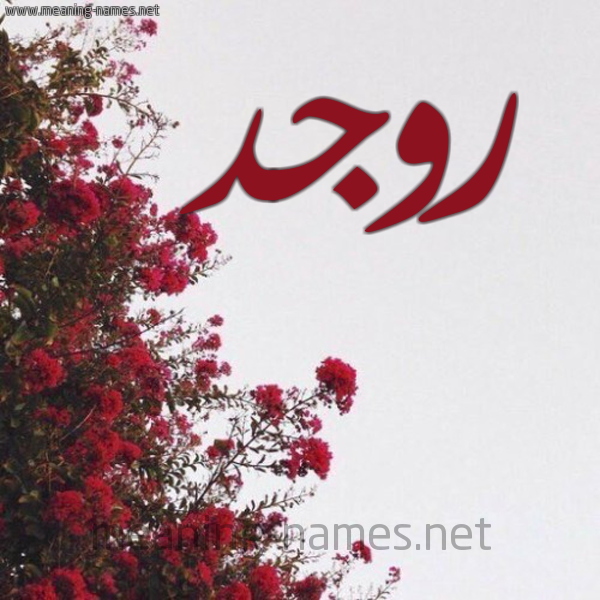 شكل 18 صوره الورد الأحمر للإسم بخط رقعة صورة اسم روجد rjid