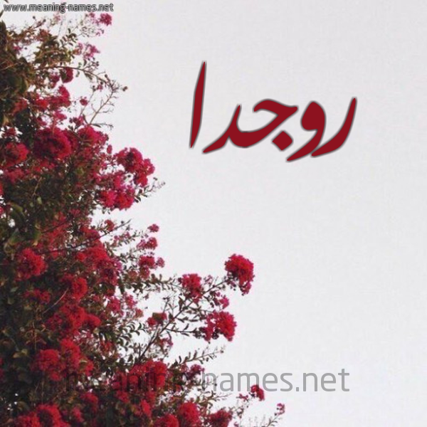شكل 18 صوره الورد الأحمر للإسم بخط رقعة صورة اسم روجدا Rogda