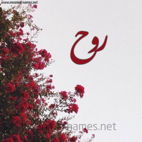 شكل 18 صوره الورد الأحمر للإسم بخط رقعة صورة اسم روح Rooh