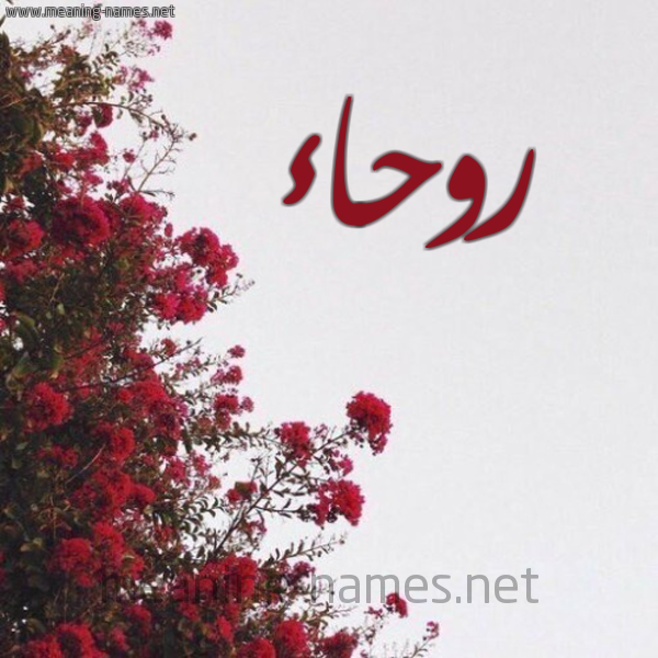 شكل 18 صوره الورد الأحمر للإسم بخط رقعة صورة اسم روحاء Rwha'a