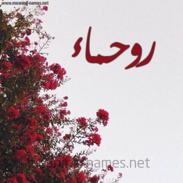 شكل 18 صوره الورد الأحمر للإسم بخط رقعة صورة اسم روحماء Rahma