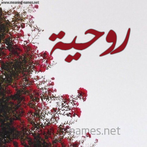 شكل 18 صوره الورد الأحمر للإسم بخط رقعة صورة اسم روحية Rawhia