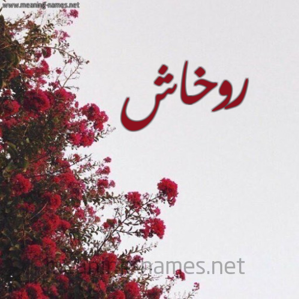 شكل 18 صوره الورد الأحمر للإسم بخط رقعة صورة اسم روخاش Rokhash