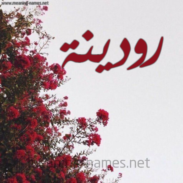 شكل 18 صوره الورد الأحمر للإسم بخط رقعة صورة اسم رودينة RODINH
