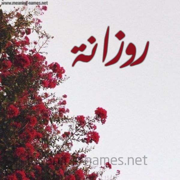 شكل 18 صوره الورد الأحمر للإسم بخط رقعة صورة اسم روزانة rozanat