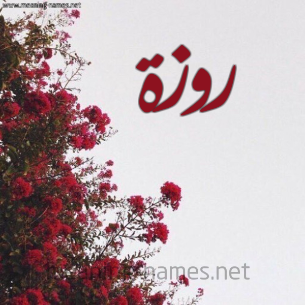 شكل 18 صوره الورد الأحمر للإسم بخط رقعة صورة اسم روزة Rwzh