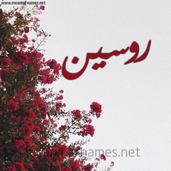شكل 18 صوره الورد الأحمر للإسم بخط رقعة صورة اسم روسين rceen