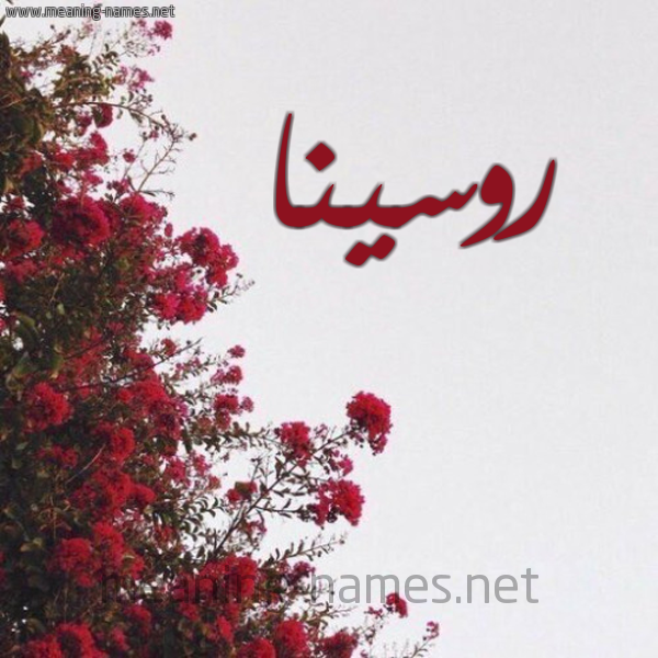 شكل 18 صوره الورد الأحمر للإسم بخط رقعة صورة اسم روسينا rosina