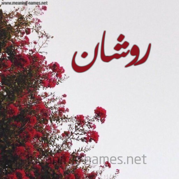 شكل 18 صوره الورد الأحمر للإسم بخط رقعة صورة اسم روشان Roshan