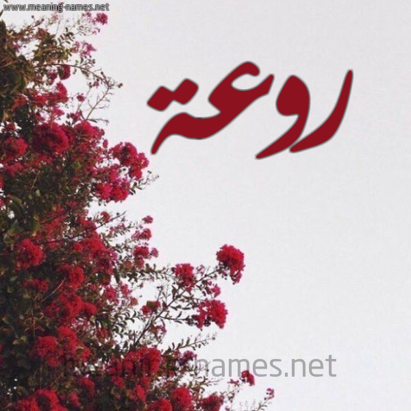 شكل 18 صوره الورد الأحمر للإسم بخط رقعة صورة اسم روعة Rwaa
