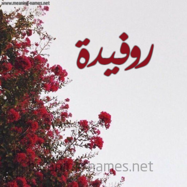 شكل 18 صوره الورد الأحمر للإسم بخط رقعة صورة اسم روفيدة ROFIDH