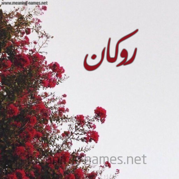 شكل 18 صوره الورد الأحمر للإسم بخط رقعة صورة اسم روكان Rokan