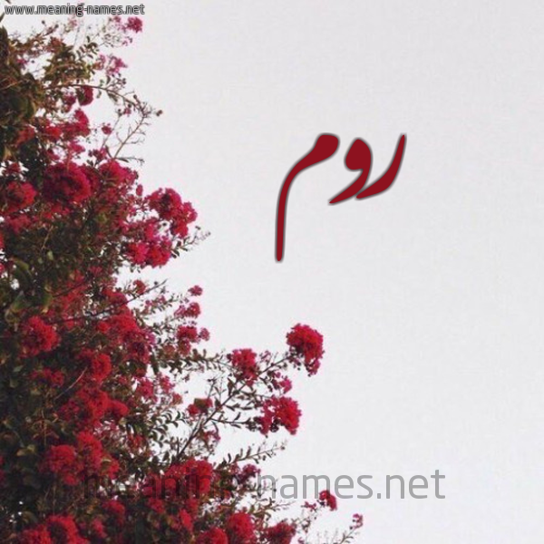 شكل 18 صوره الورد الأحمر للإسم بخط رقعة صورة اسم روم Rwm